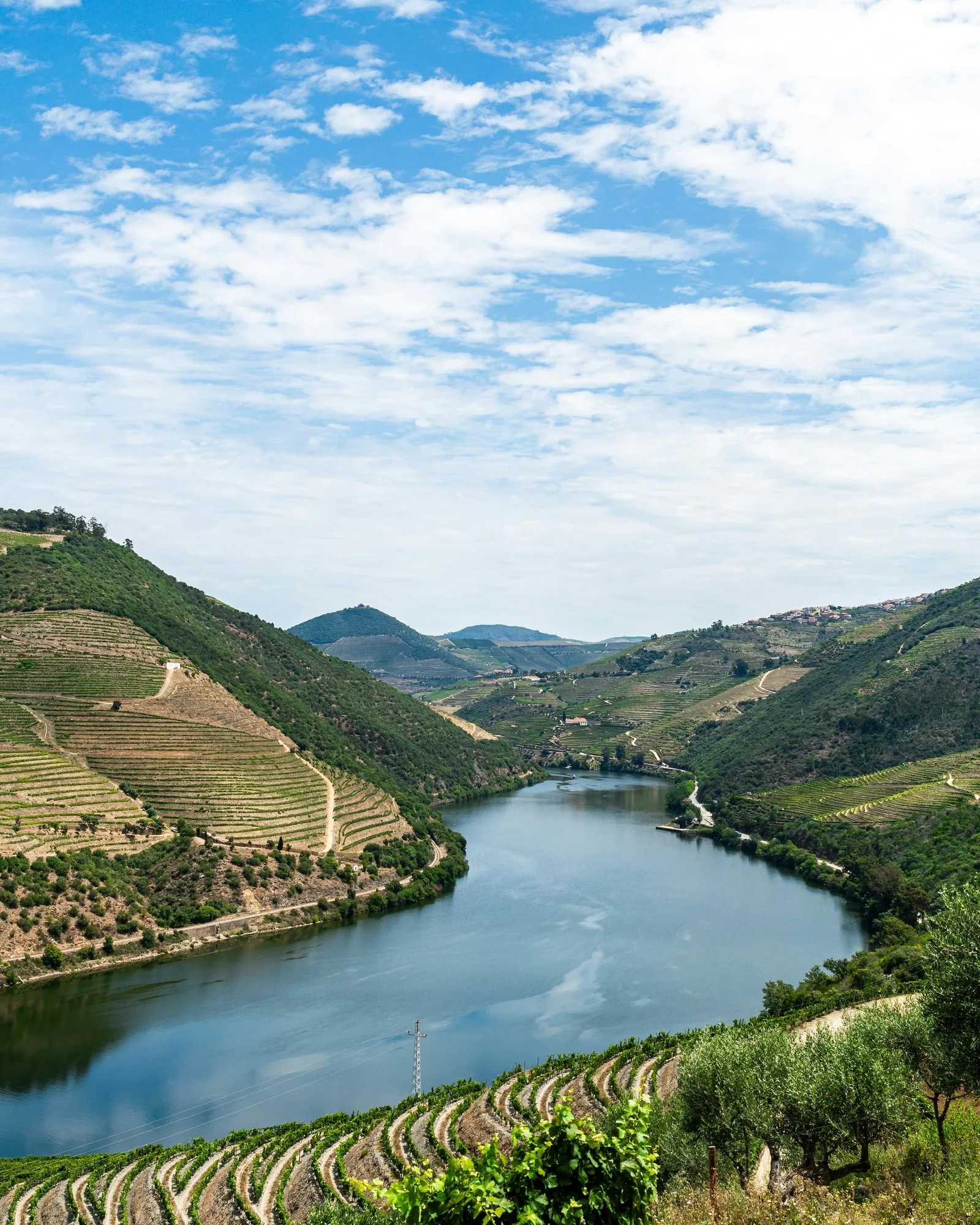 The Douro river winding between terraced vineyards, Portugal